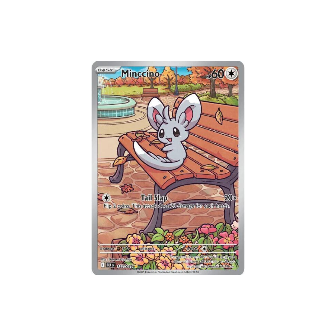 Minccino AR Black Bolt